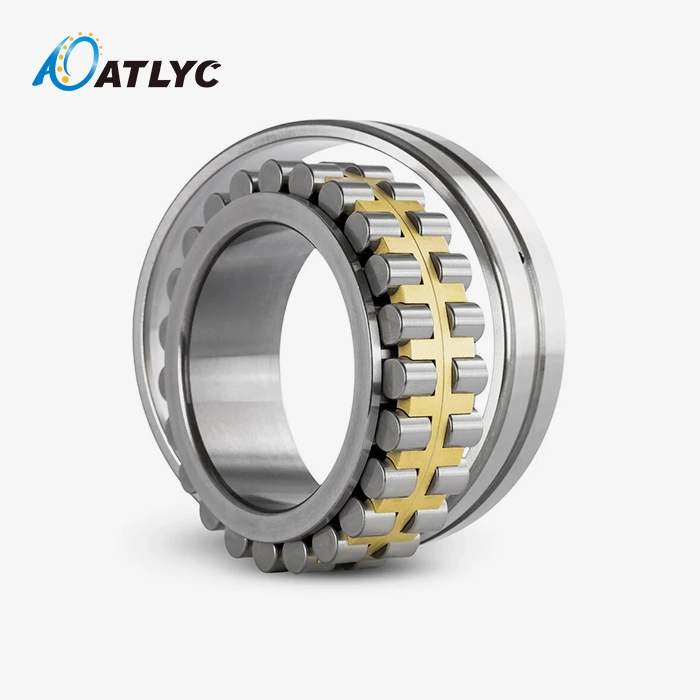 Double Row Cylindrical Roller Bearing NN series